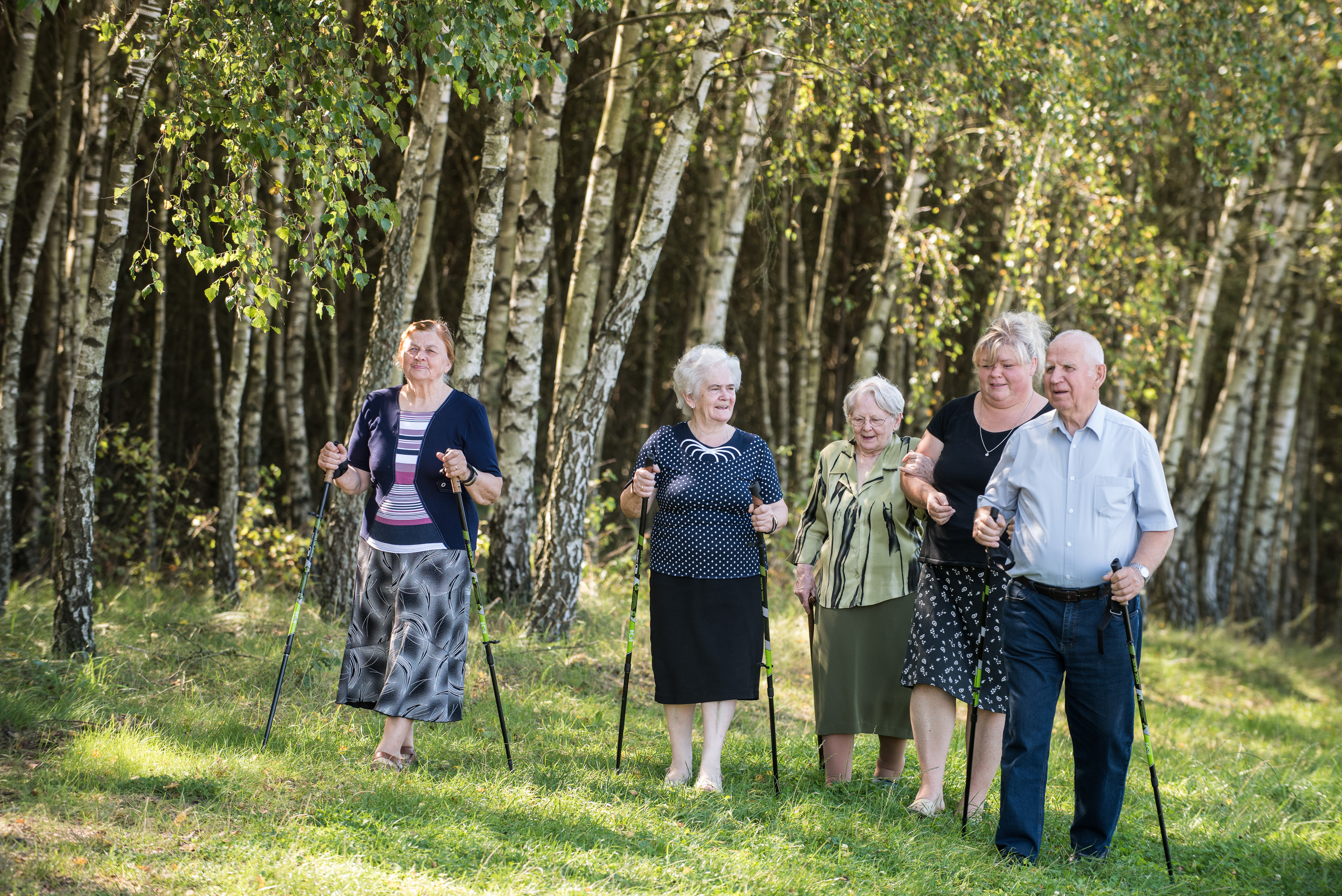The photo presents a group of seniors walking in a birch forest.