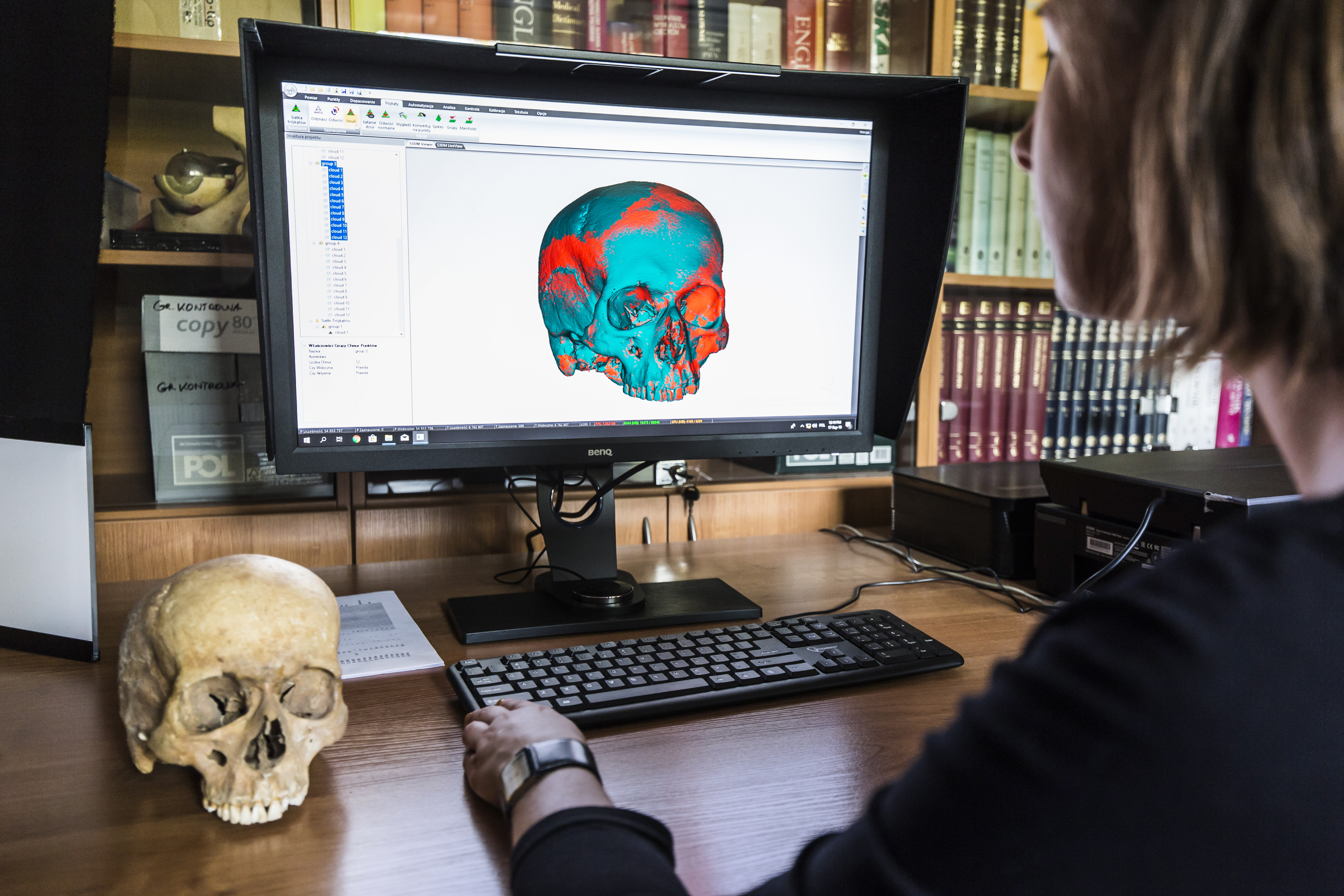 Wypreparowana czaszka ludzka oraz jej cyfrowy skan na komputerze