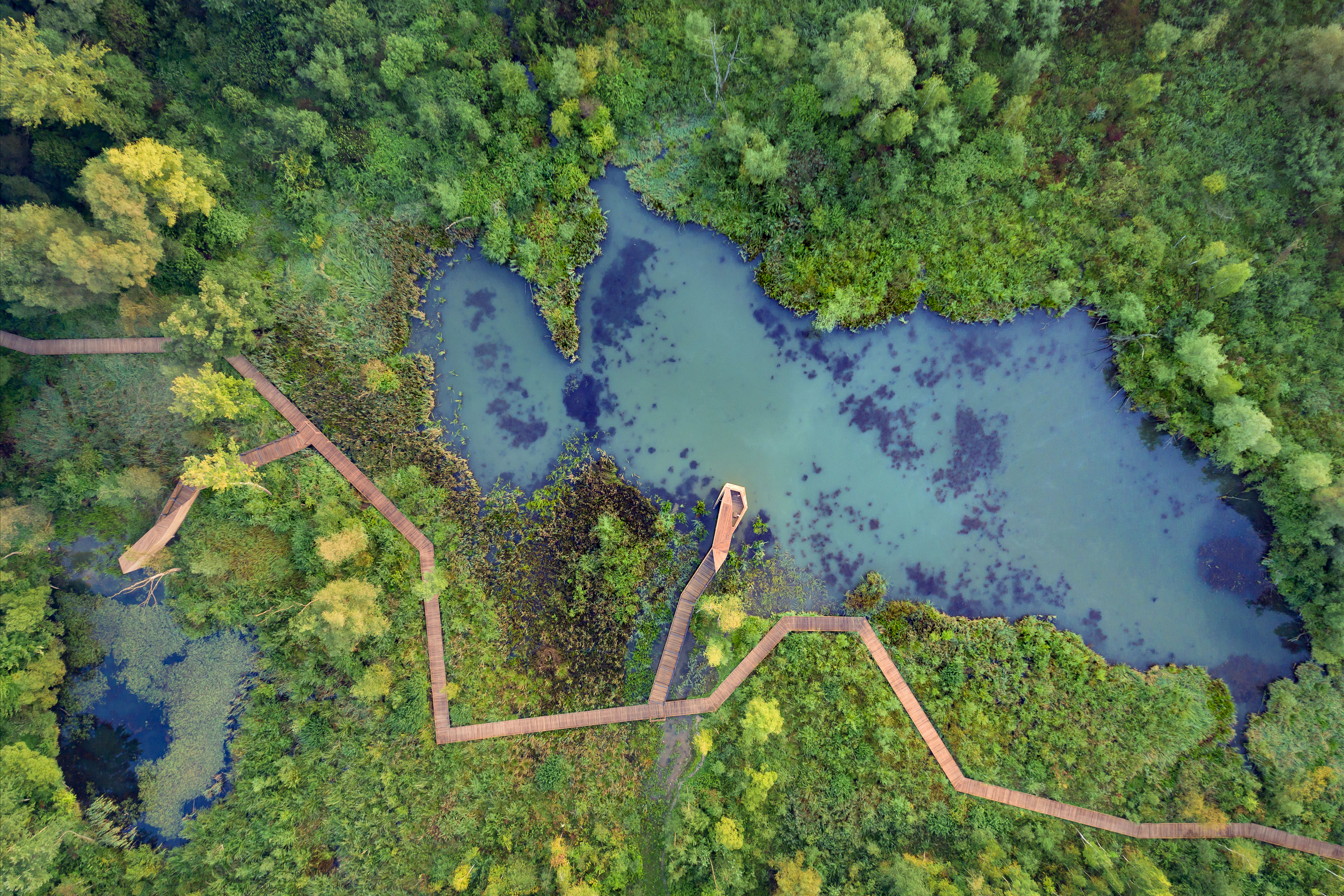 The photograph presents a top view of the "Bobrowisko" nature enclave in malopolska region.