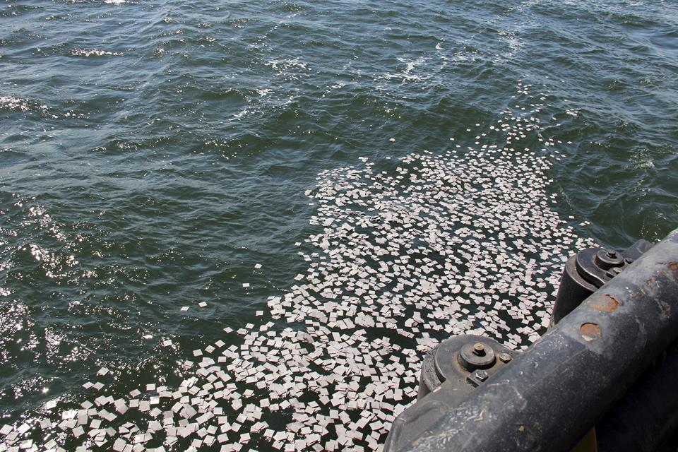 Biodegradable plates at sea